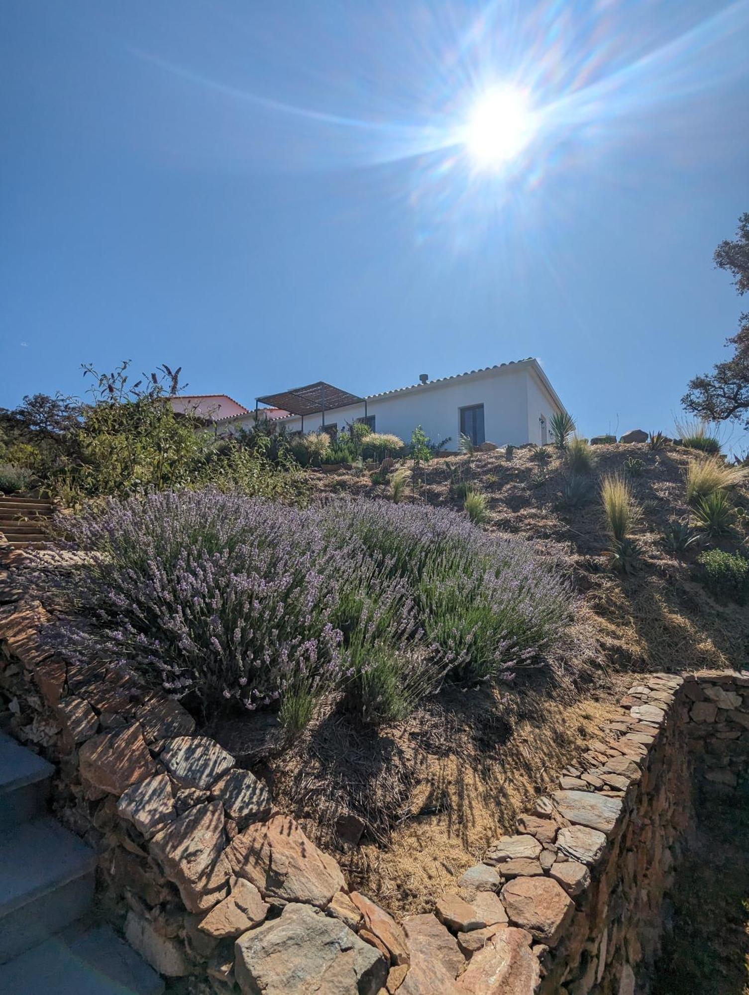 Finca Bravo Cortegana Exterior foto